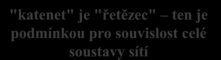 katenetový model TCP/IP předpokládá že "svět" je tvořen soustavou dílčích sítí chápaných jako celky na úrovni síťové vrstvy, tzv.