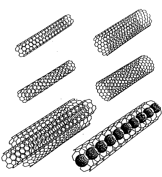 nanometer-size tubes composed of graphitic carbon to Sumio Iijima in 1991.