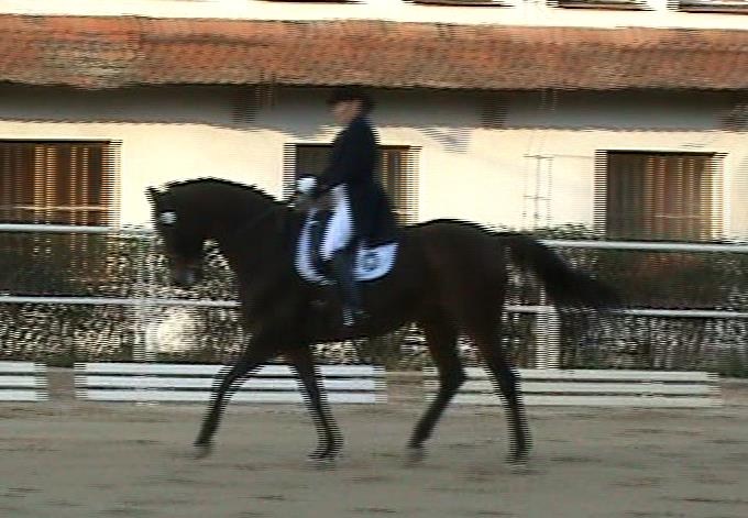 Obrázek 27 - Knitlová Stanislava a Homér Zdroj: Foto autorka 5.2.6 Korelace mezi úhly 1 - tělo a 2 - noha Pearsonovou korelací byl zjištěn korelační koeficient o hodnotě 0,31.