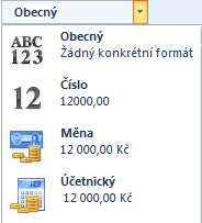 Účetnický formát má ještě další tlačítko ve skupinovém rámečku Číslo pro rychlé použití (viz obrázek níže).