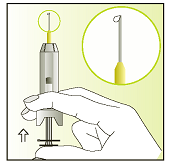 3. Injekční stříkačku držte šedou krytkou vzhůru Prstem jemně poklepejte na stříkačku, abyste pomohl(a) bublinkám vzduchu vystoupat k hornímu okraji. 4.