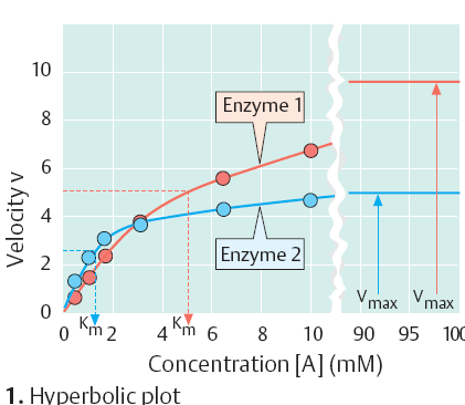 Km popisuje afinitu enzymu k danému substrátu (nepřímá úměrnost) charakterizuje dvojici S-E hodnoty K m