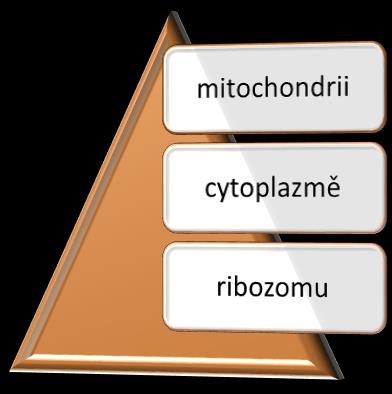 48) Prohlédni si naznačený děj a urči, do jaké třídy enzymů by patřil ten, který tento děj katalyzuje.