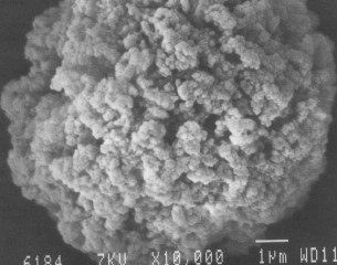 Molekuly biopolymerů unášené konvektivním prouděním mobilní fáze se těmito póry lehce dostávají do