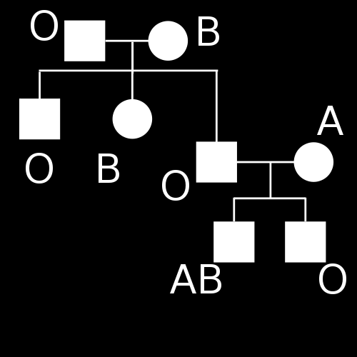 Výjimky z Mendelových zákonů 3.genové interakce 2.