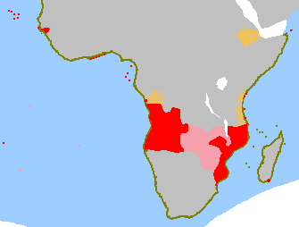Portugalsko Angola, Mozambik, Portugalská Guinea Prepojenie A a M Odpor Británie António de