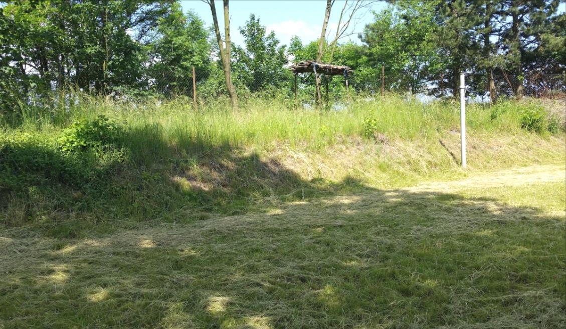 HYDROGEOLOGICKÝ POSUDEK PROJEKT GEOLOGICKÝCH PRACÍ zpracovaný podle vyhlášky č. 369/2004 Sb. Vrtaná studna na parcelním čísle 220/79 v k.ú. Košátky, okres Mladá Boleslav Objednatel: Obec Košátky, č.