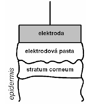Obr. 2.2 Náhradní elektrické schéma kůže Obr. 2.3 Znázornění zapojení elektrodakůže Jak lze vidět na Obr. 2.3, mezi pokožku a elektrodu se nanáší malá vrstva gelu, tzv. elektrodové pasty.
