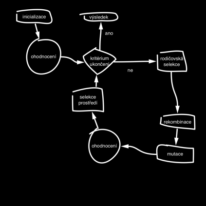 Obecný EA Náhodně vytvoř iniciální populaci P(0) V cyklu vytvářej P(t) z P(t+1): Výběr rodičů Rekombinace