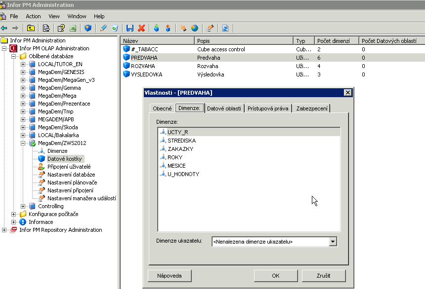 Infor PM OLAP Vzorek definice