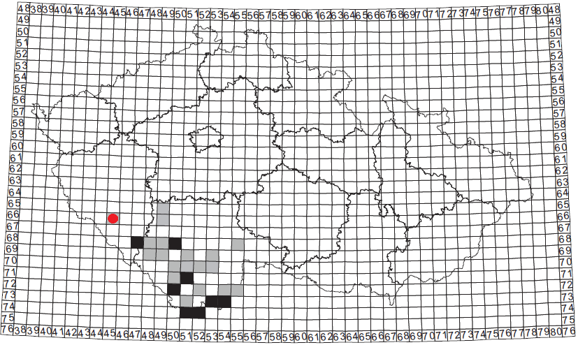 1.4 Chrakteristika vybraných druhů modrásků 1.4.1 Pseudophilotes baton (Bergsträsser, 1779) modrásek černočárný 1 Biotopy: xerotermofilní 1.