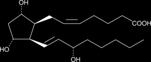 Oxidační poškození - vysvětlení Oxidační stres = důsledek nerovnováhy mezi hladinami oxidantů a antioxidantů Reaktivní formy kyslíku (ROS) radikálové: hydroxylový radikál (OH ), superoxid (O 2 ),