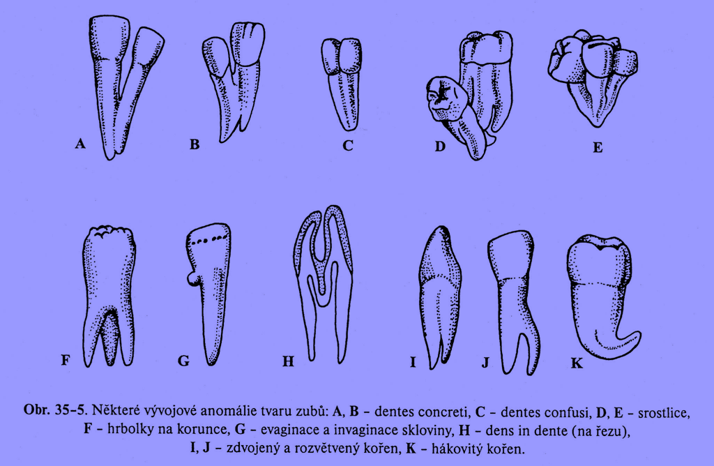 srostlice