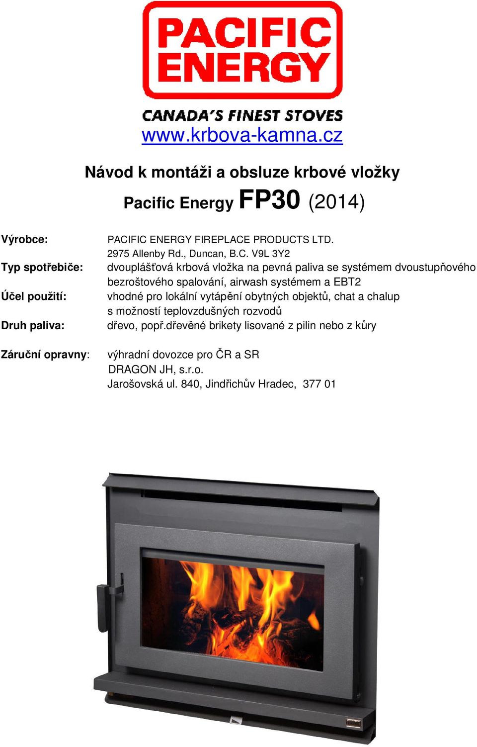 ENERGY FIREPLACE