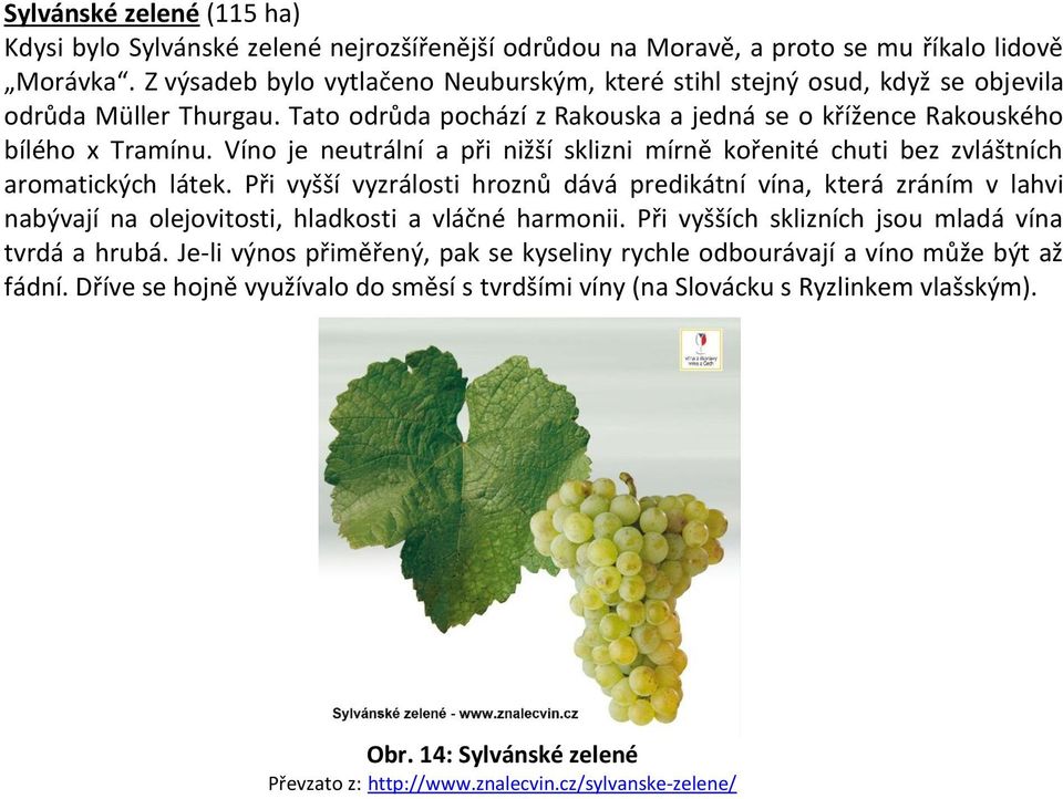 Víno je neutrální a při nižší sklizni mírně kořenité chuti bez zvláštních aromatických látek.