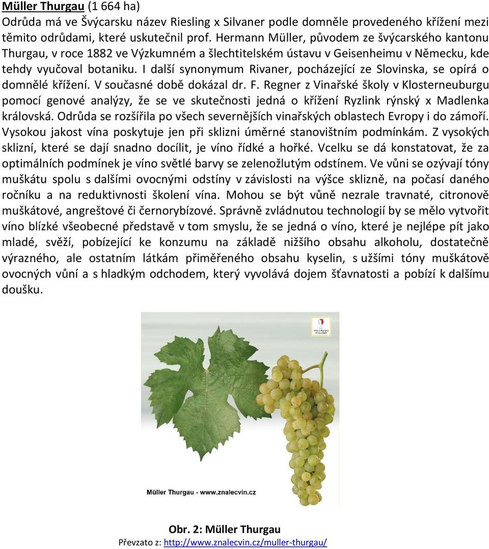 I další synonymum Rivaner, pocházející ze Slovinska, se opírá o domnělé křížení. V současné době dokázal dr. F.