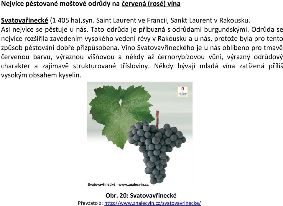 Odrůda se nejvíce rozšířila zavedením vysokého vedení révy v Rakousku a u nás, protože byla pro tento způsob pěstování dobře přizpůsobena.