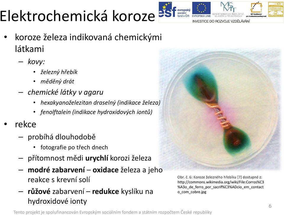 urychlí korozi železa modré zabarvení oxidaceželeza a jeho reakce s krevní solí růžovézabarvení redukcekyslíku na hydroxidové ionty Obr. č.