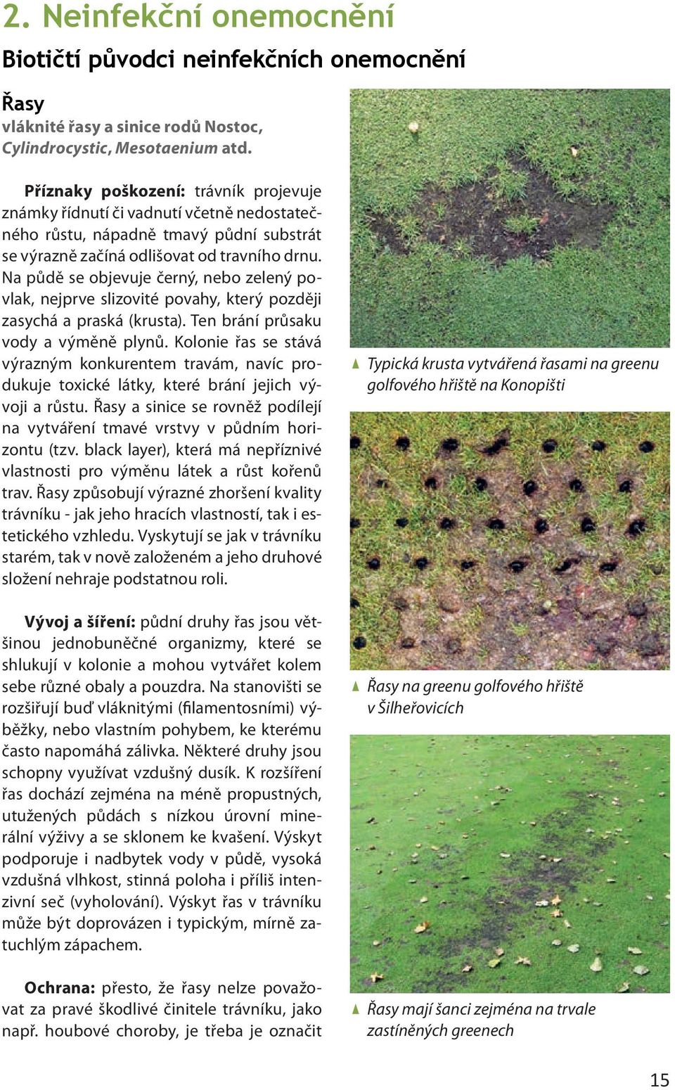 Na půdě se objevuje černý, nebo zelený povlak, nejprve slizovité povahy, který později zasychá a praská (krusta). Ten brání průsaku vody a výměně plynů.