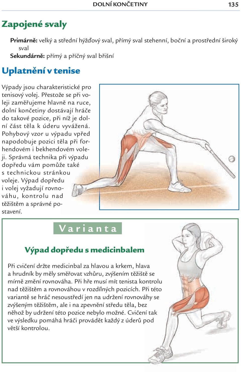 Pohybový vzor u výpadu vpřed napodobuje pozici těla při forhendovém i bekhendovém voleji. Správná technika při výpadu dopředu vám pomůže také s technickou stránkou voleje.
