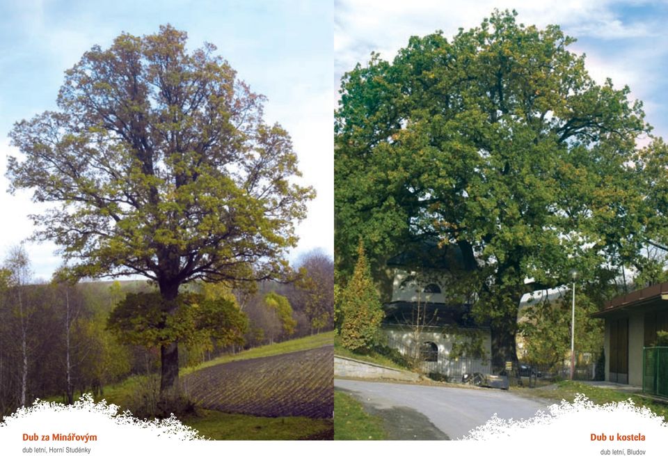 letní, Horní