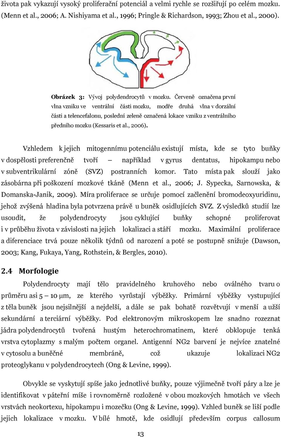 Červeně označena první vlna vzniku ve ventrální části mozku, modře druhá vlna v dorzální části a telencefalonu, poslední zeleně označená lokace vzniku z ventrálního předního mozku (Kessaris et al.
