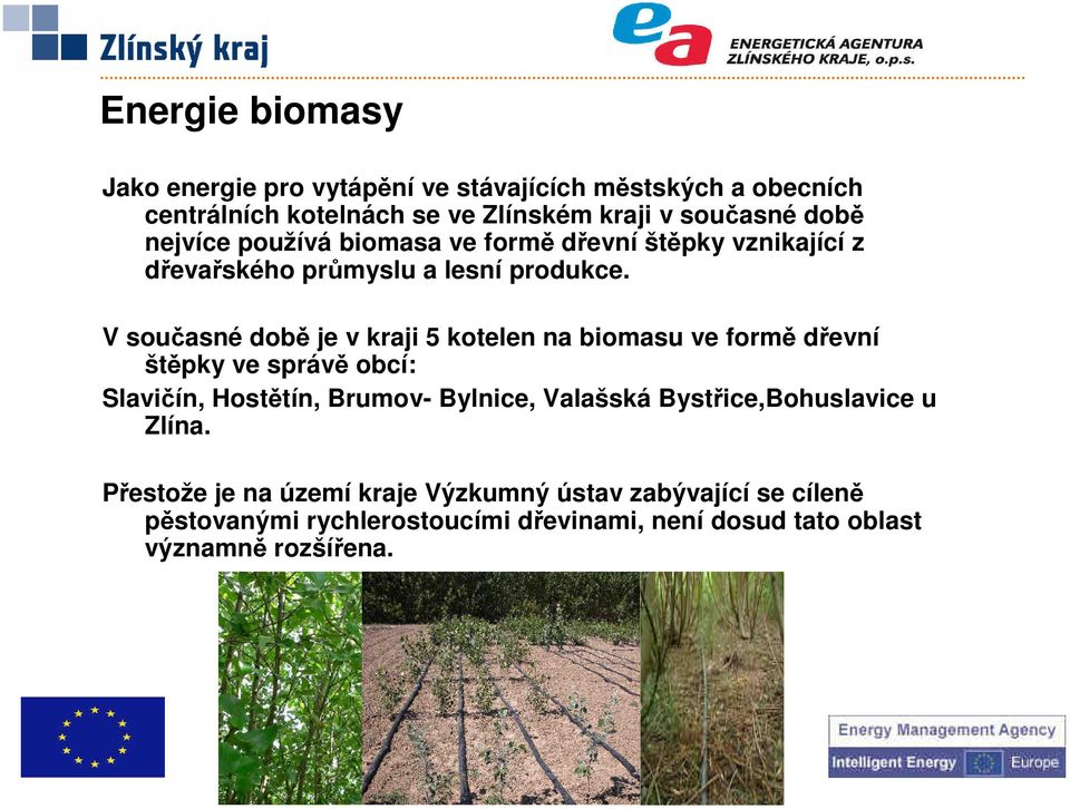 V současné době je v kraji 5 kotelen na biomasu ve formě dřevní štěpky ve správě obcí: Slavičín, Hostětín, Brumov- Bylnice, Valašská