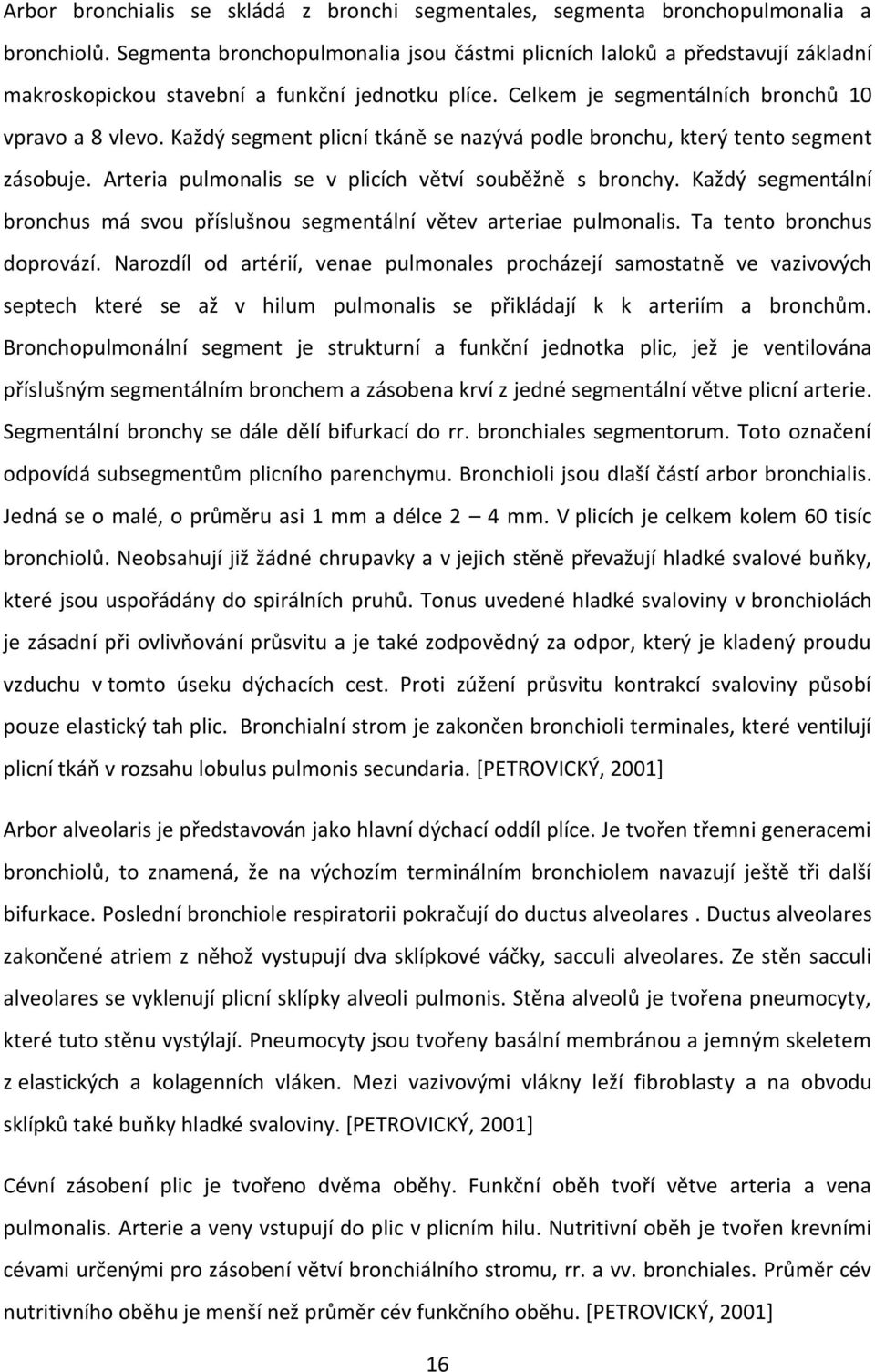 Každý segment plicní tkáně se nazývá podle bronchu, který tento segment zásobuje. Arteria pulmonalis se v plicích větví souběžně s bronchy.