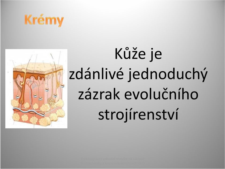 evolučního strojírenství