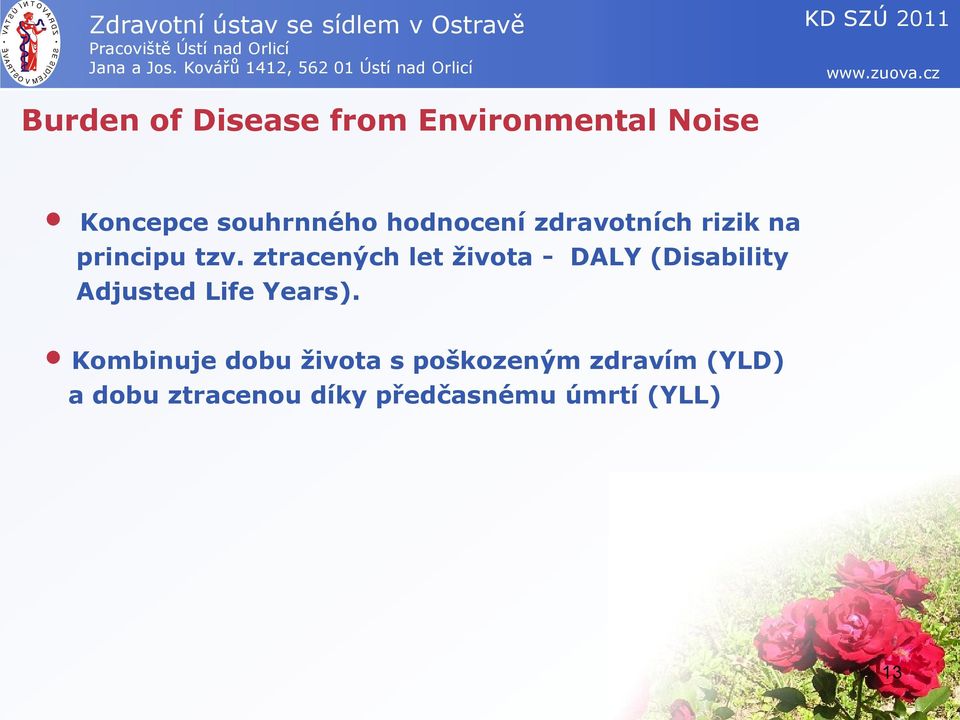 ztracených let života - DALY (Disability Adjusted Life Years).