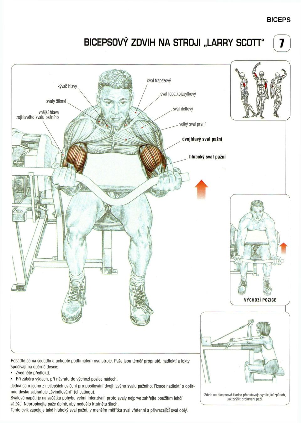 Jedná se o jedno z nejlepších cvičení pro posilování dvojhlavého svalu. Fixace nadloktí o opěrnou desku zabraňuje švindlování" (cheatingu).