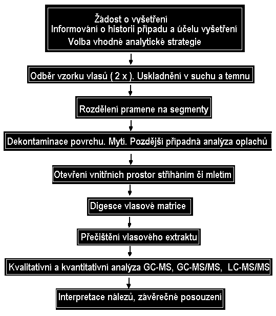 Schéma kroků vlasové