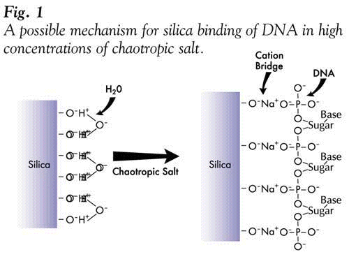 Mechanismus interakce