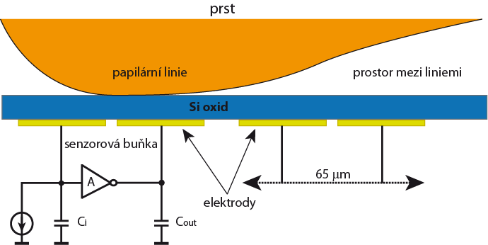 64 Fakulta elektrotechniky a komunikačních technologií VUT v Brně 5.3.4 Senzor otisku prstů Posledním příkladem kapacitního senzoru je senzor otisku prstů.