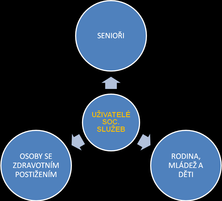 Struktura kategorií poskytovatelů sociálních služeb v ORP Veselí nad Moravou Uživatelé v oblasti sociálních služeb se člení do tří základních