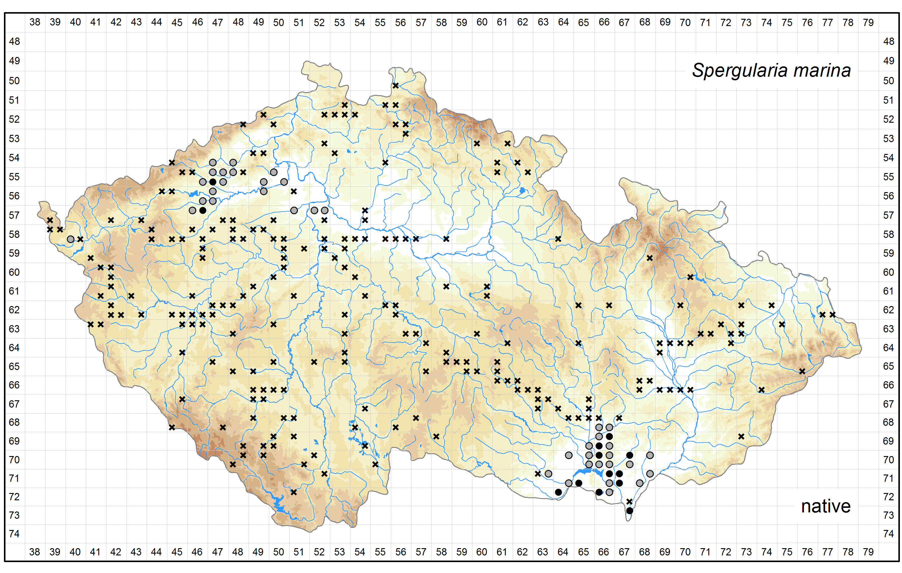 Distribution of Spergularia marina in the Czech Republic Author of the map: Michal Ducháček, Pavel Kúr Map produced on: 13-05-2016 Database records used for producing the distribution map of