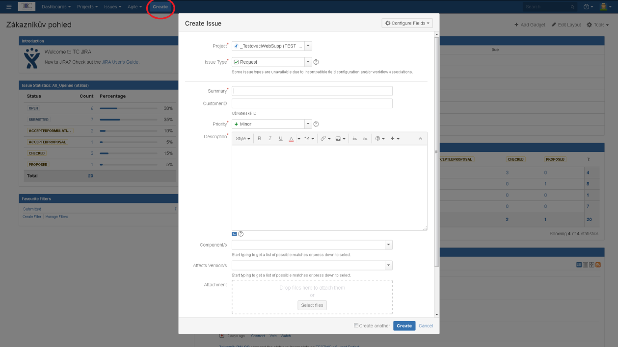 7 ZPRACOVÁNÍ ISSUE SPOLEČNÁ ČÁST 7.1 Zadání nového Issue Pro zadání nového Issue klikneme v hlavním menu na tlačítko Create, následně se nám zobrazí okno pro zadání potřebných informací o novém Issue.