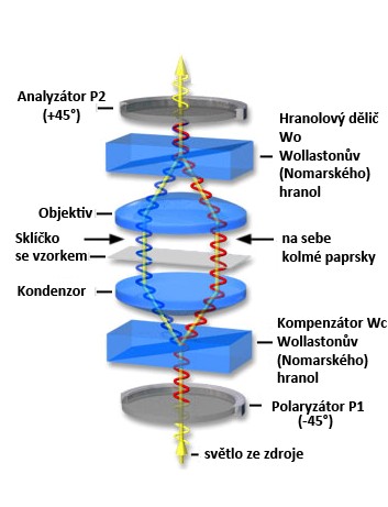 dvojice paprsků (řádný a mimořádný) Jerzy Nomarski modifikoval Wollastonův hranol 1955 vibrace v