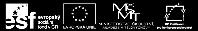 1. VYMEZENÍ ODBORNÉ STÁŽE Šablona stáže představuje základní rámec odborné stáže pro typovou pozici a obsahuje požadavky na obsah a průběh stáže, na stážistu i na poskytovatele stáže.