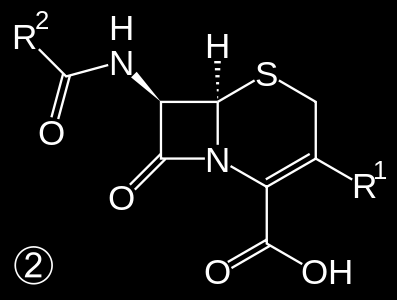 β-laktamy: cefalosporiny - 1. - 4. (5.