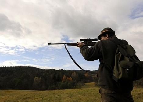 P L E S P O Ľ O V N Í K O V predjedlo * p oľovnícky pikantný špíz hlavné jedlo * jelenie medajlónky na šípkovej omáčke, ryža, zemiakové krokety, obloženie dezert * lesný smotanový dezert 23,00 /