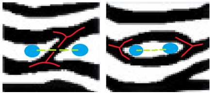 It scans black pixels and investigates pixel neighborhood containing 8 pixels.