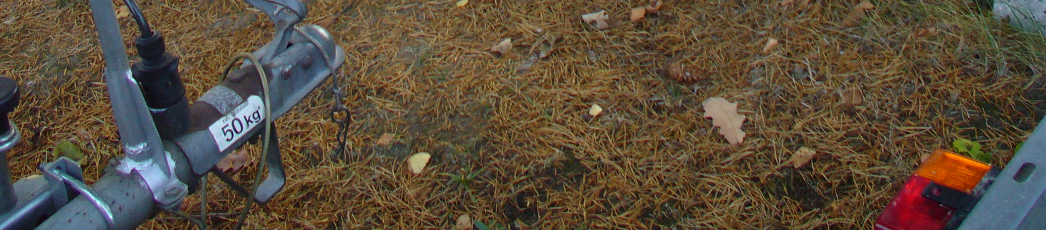 Obrázek.