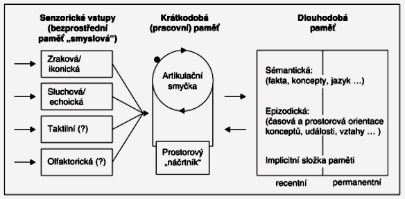 fonologický zásobník slouží k záznamu zvukové podoby slov; mechanismus opakování udržuje obsah fonologického zásobníku pomocí bezmyšlenkovitého hlasitého nebo polohlasitého opakování.