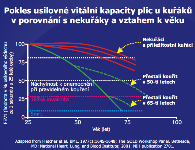 nejdůležitější z nich je nikotin, kancerogeny (několik desítek), oxidy síry a dusíku, oxid uhelnatý. Každá z těchto složek cigaretového kouře má na organismus specifické účinky.