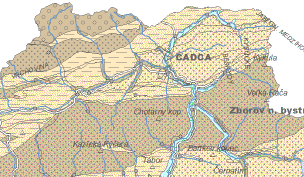 Kapitola 2 Popis lokality Území má složitou tektonickou stavbu podmíněnou vrásnivými a přesunovými pohyby v geologické minulosti. 2.1.2.2 Kvartérní pokryv Kvartérní pokryv dané lokality tvoří pleistocénní deluviální kamenito-hlinité až balvanito-kamenité sedimenty.