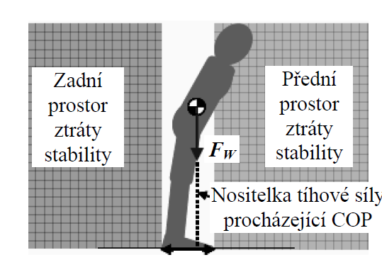 Obrázek 5: Udržení stability těla, [5] Při klidném postoji se měří výkyvy v horizontálním směru a to v předozadním a pravolevém směru. Hlavními výstupy měření je COP a COM.
