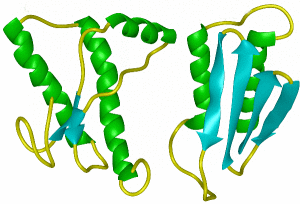 Obrázek č. 1: Vlevo zdravá bílkovina, vpravo "zašmodrchaný" prion. Databáze online [cit. 2011-04-13]. Dostupné na: <http://www.rozhlas.