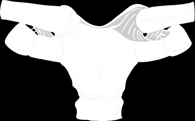 Articulatio sternoclavicularis (SC) 1 Typ: složený 2 Tvar: kulový 3 Hlavice: facies articularis sternalis claviculae 4 Jamka: incisura clavicularis sterni 5 Kloubní pouzdro: tuhé 6 Vazy: 6.