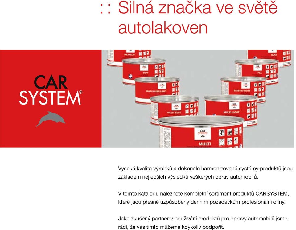 V tomto katalogu naleznete kompletní sortiment produktů CARSYSTEM, které jsou přesně uzpůsobeny denním